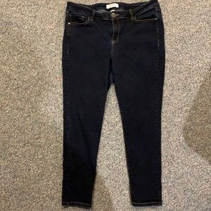 Lane Bryant stretch jeans